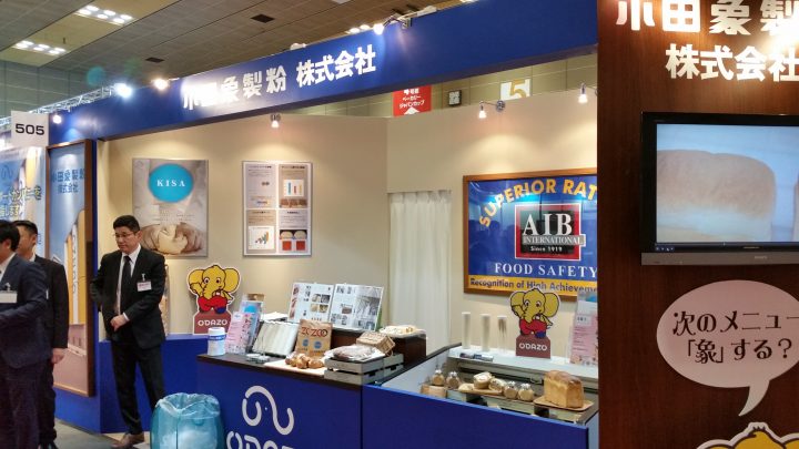 小田象