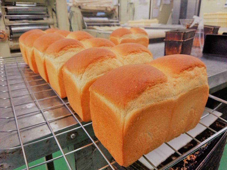 「食べなくても分かるパンの内側」🍞